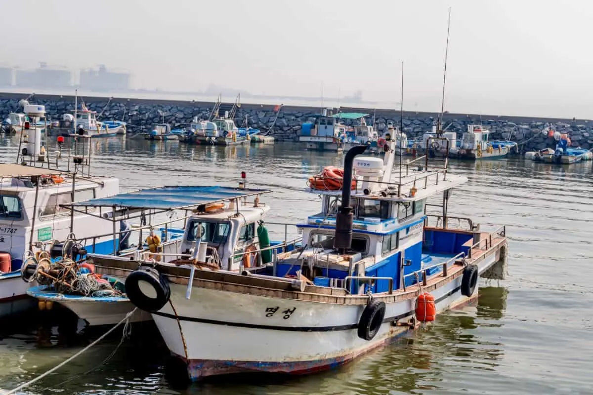 Bay fishing boats