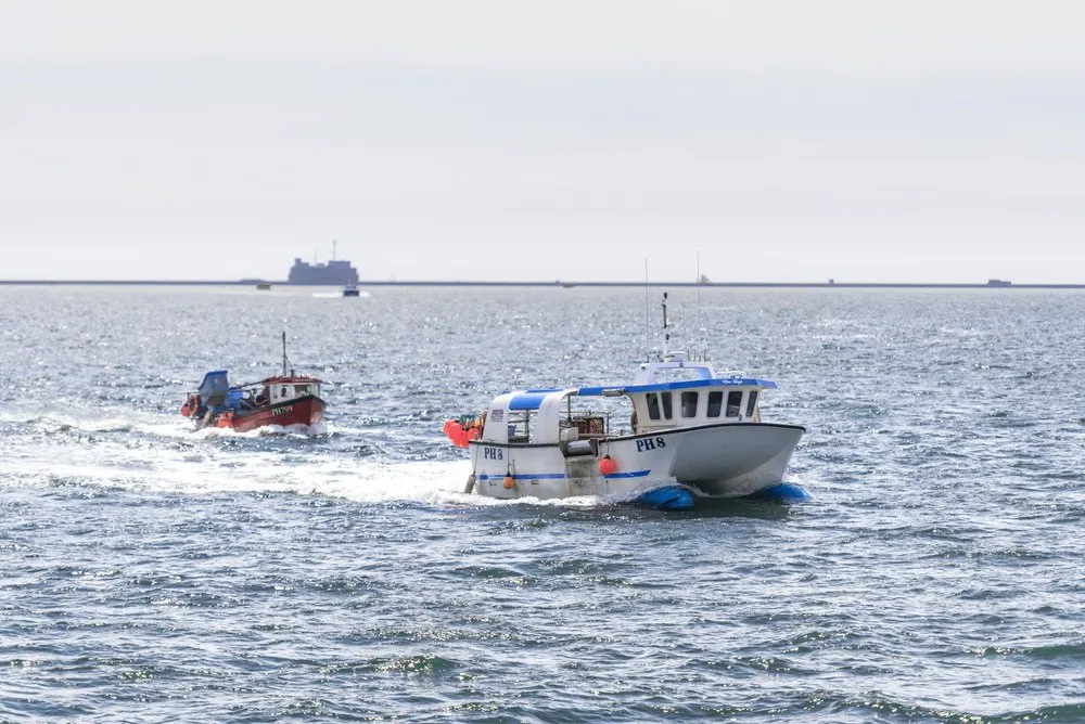 Power fishing catamaran