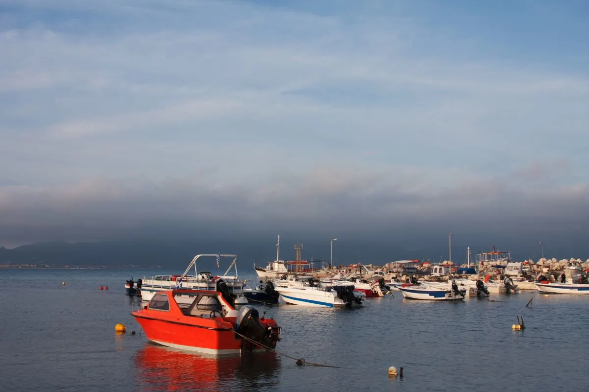 A lot of fishing boats moored in the port.