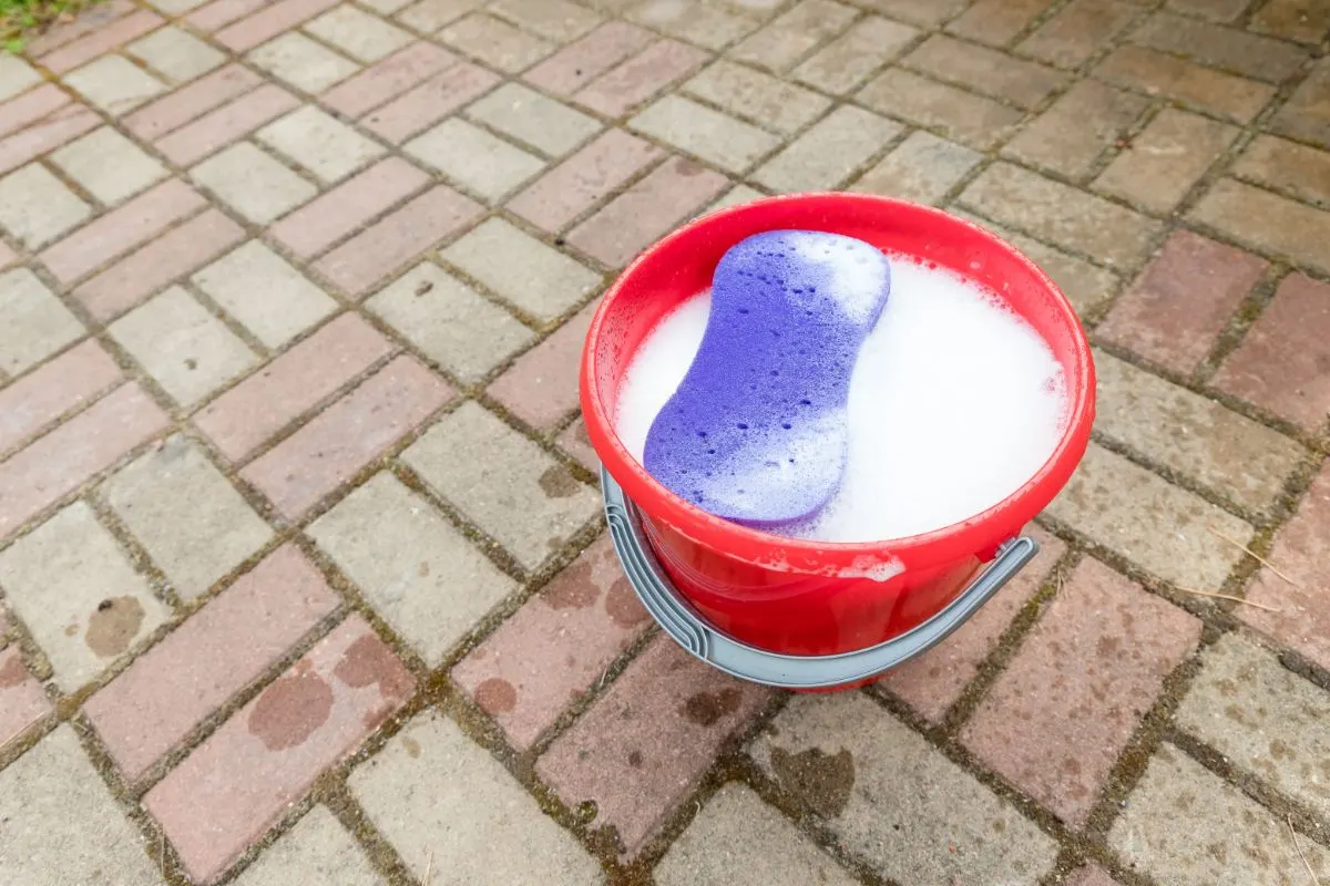 A red plastic bucket on cobblestone background with purple colored sponge.