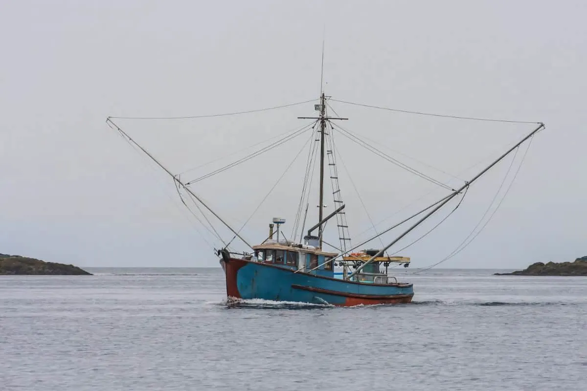 Walkaround on the sea.