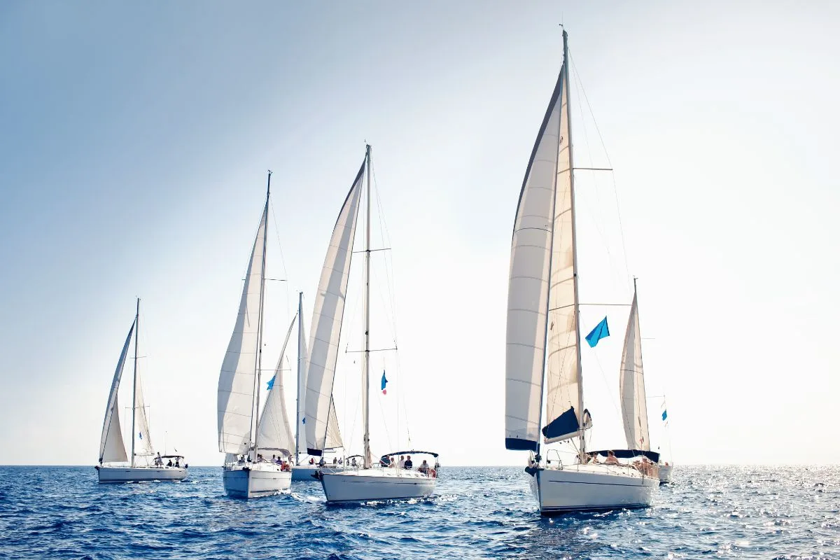 A group photo of sailing ship yachts on the ocean.