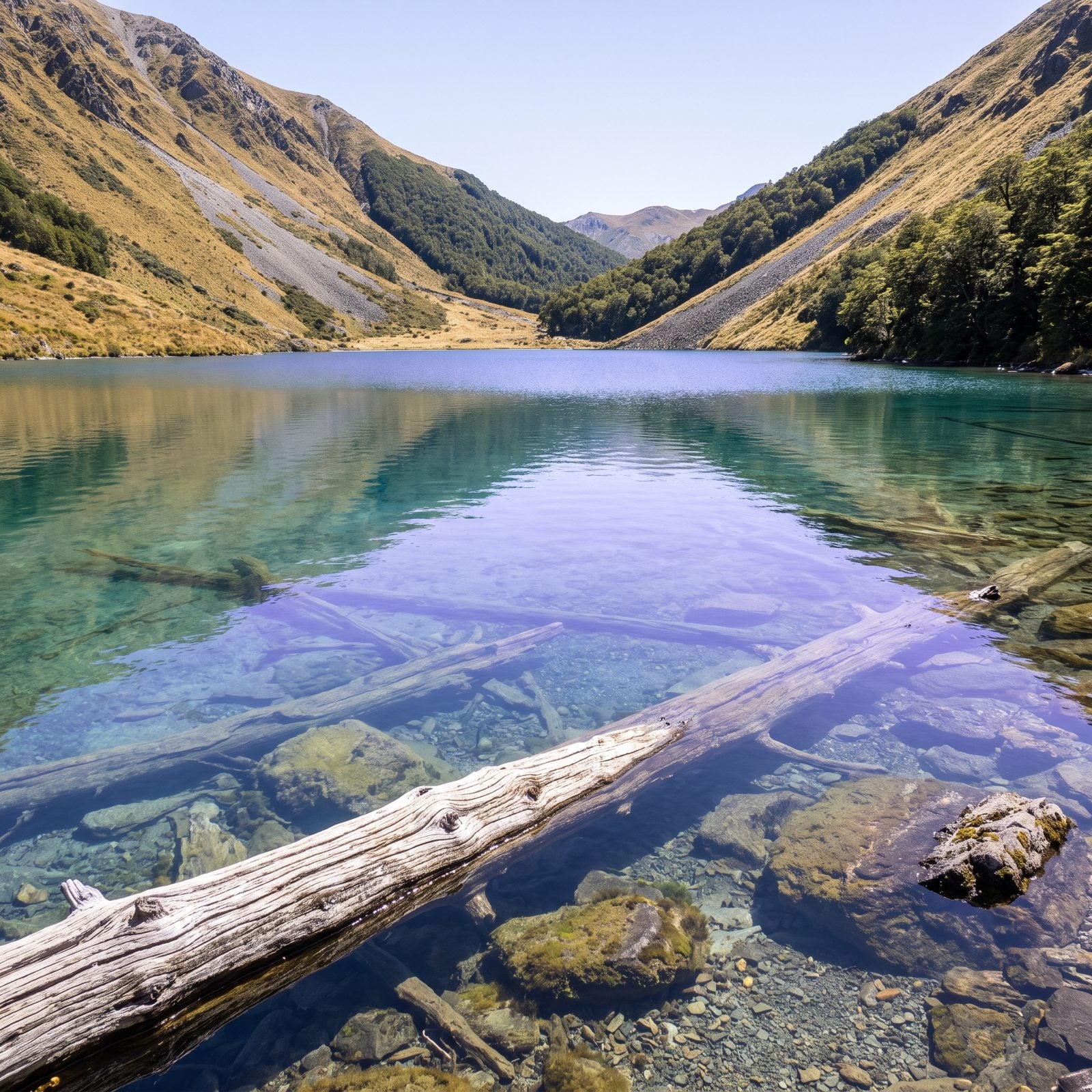 Blue Lake, New Zealand: The Clearest Freshwater Ever Measured