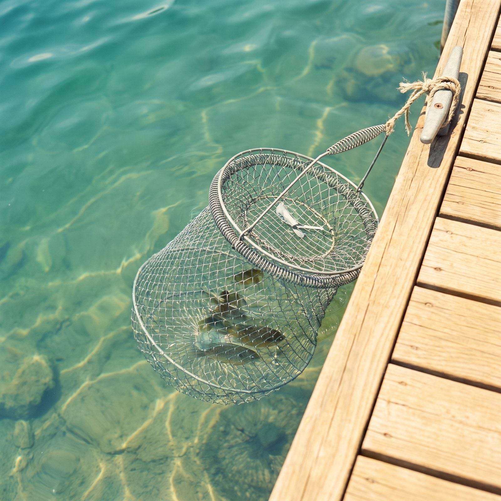 The Collapsible Wire Fish Basket Hanging From the Dock