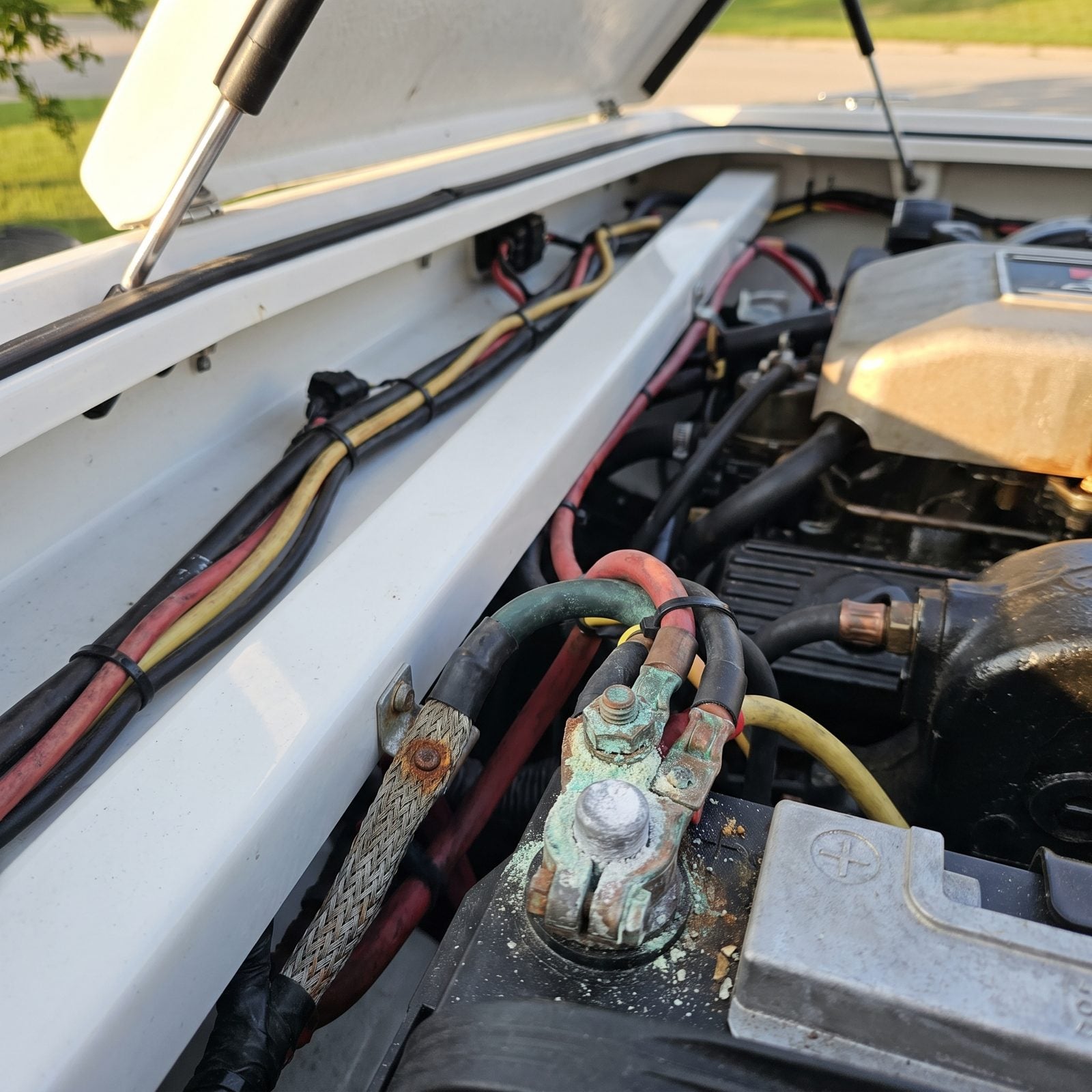 Ignoring Corrosion on Wiring and Terminals
