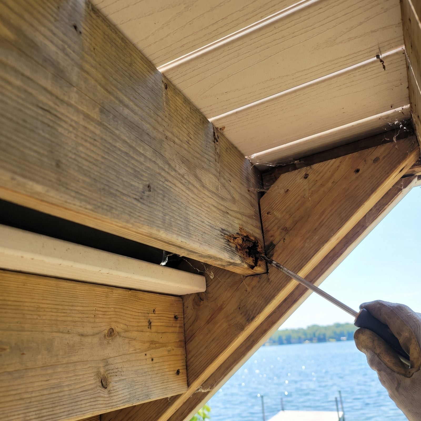 Ignoring Rot Beneath Waterfront Decking