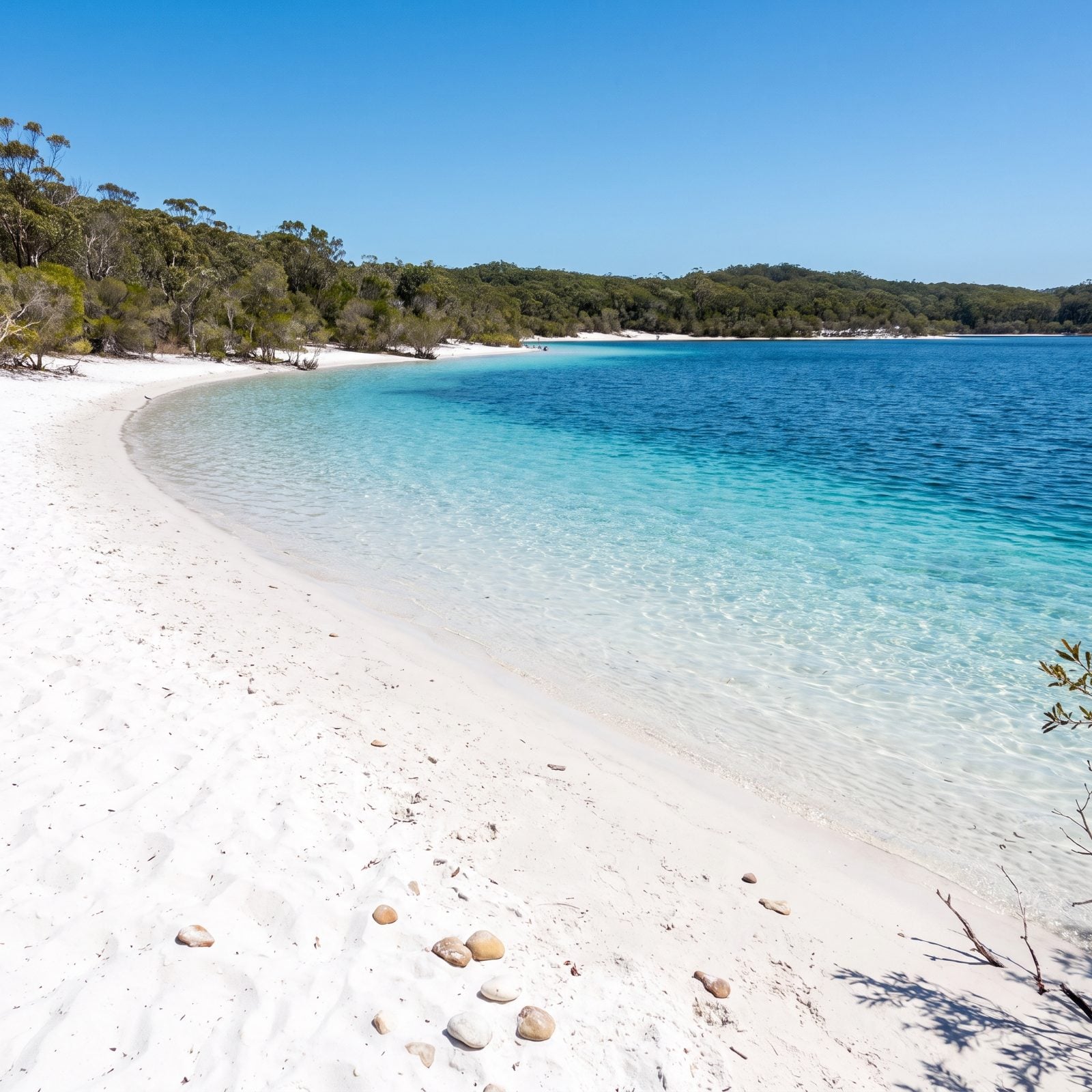 Lake McKenzie, Australia, Rainwater Over Brilliant White Silica Sand