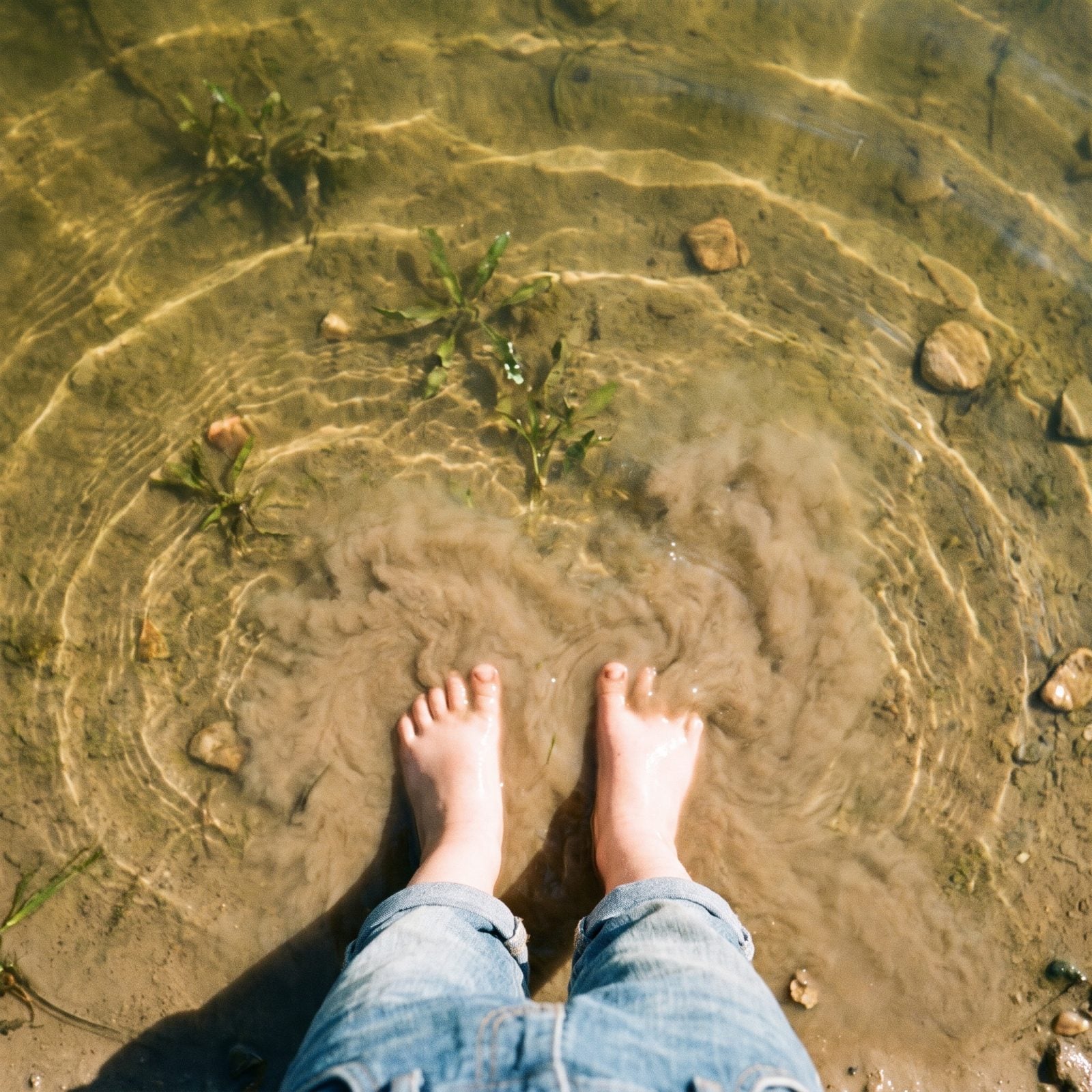 Mud Squishing Up Between Your Toes At The Shallow End