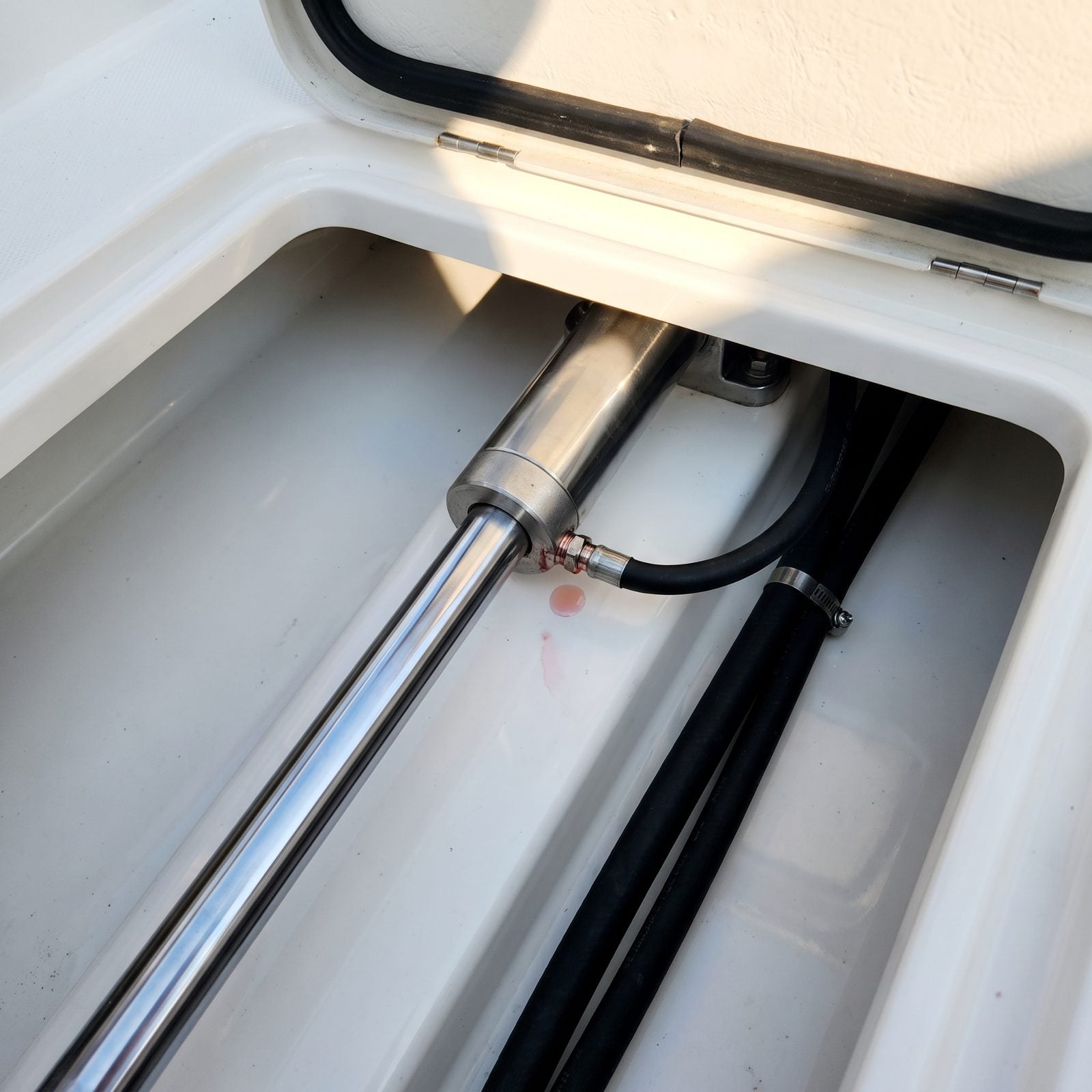 Overlooking a Failing Steering System