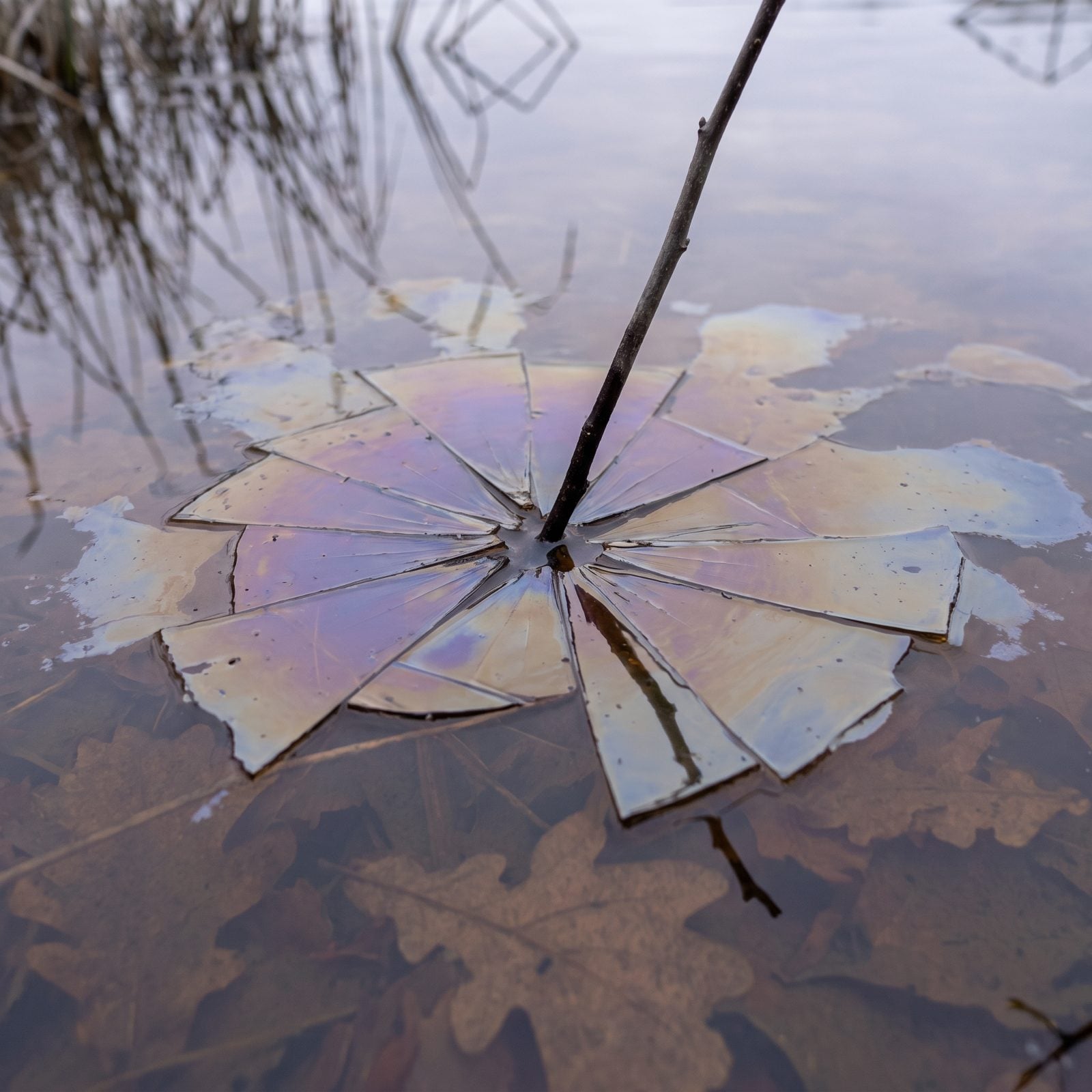 A Rainbow Surface Sheen That Shatters When You Touch It